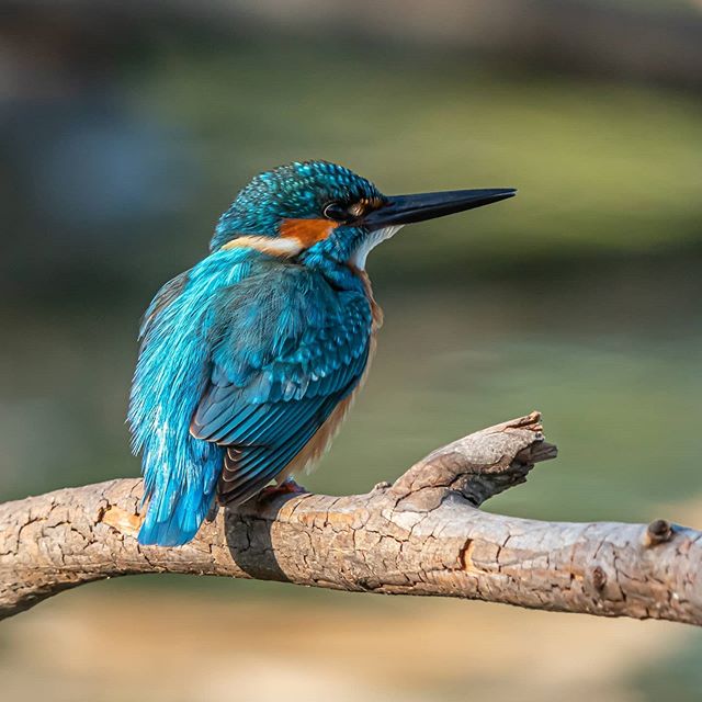 眼里有春天，心花才能怒放；胸中有大海，胸怀