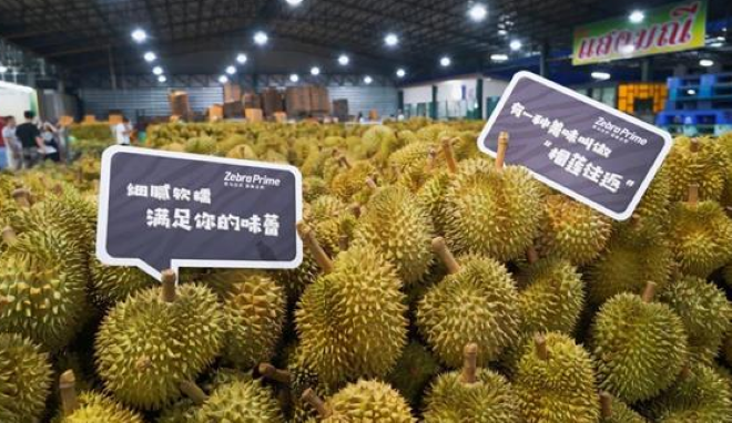 坐地起价？中国已提前预定，泰国榴莲却将价格上涨至25元/公斤？