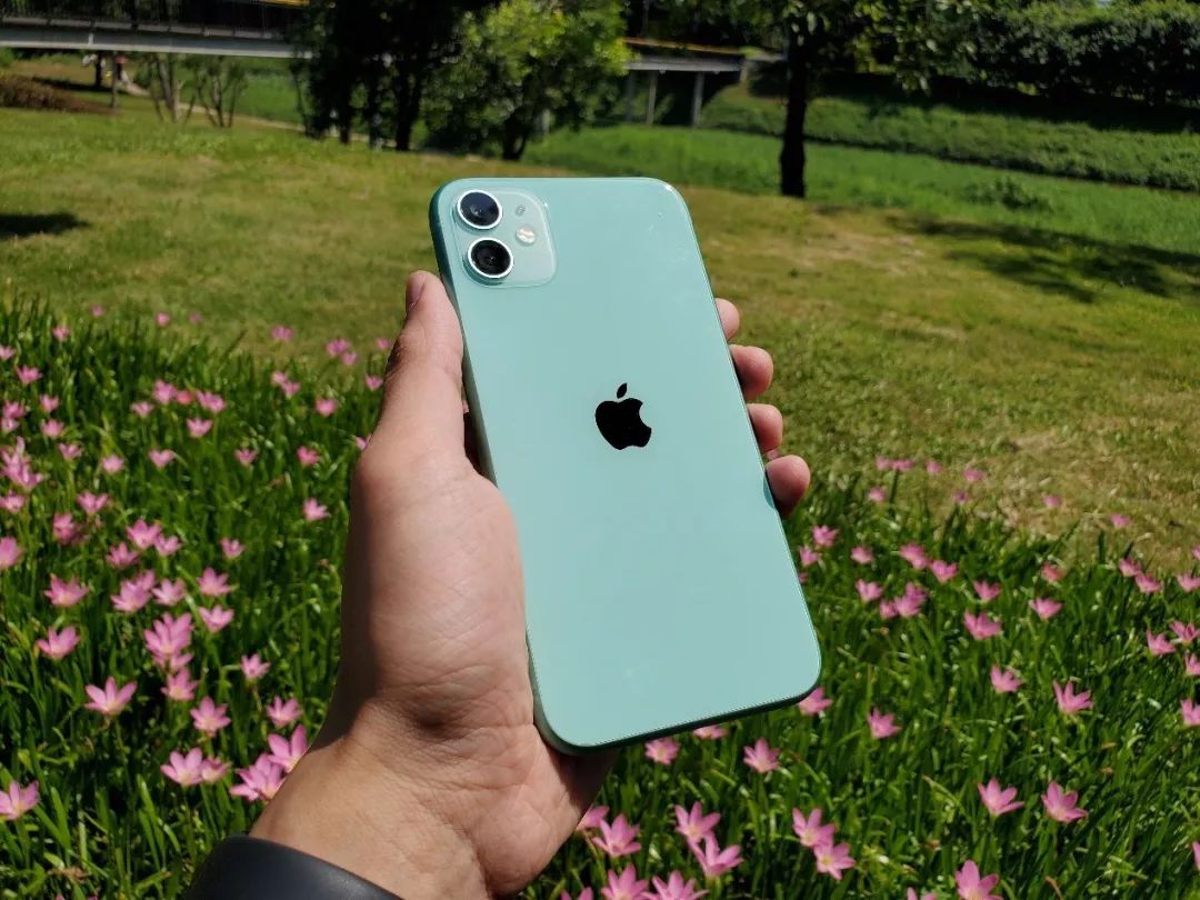 iPhone 11系列深度测评：是创新也是生意