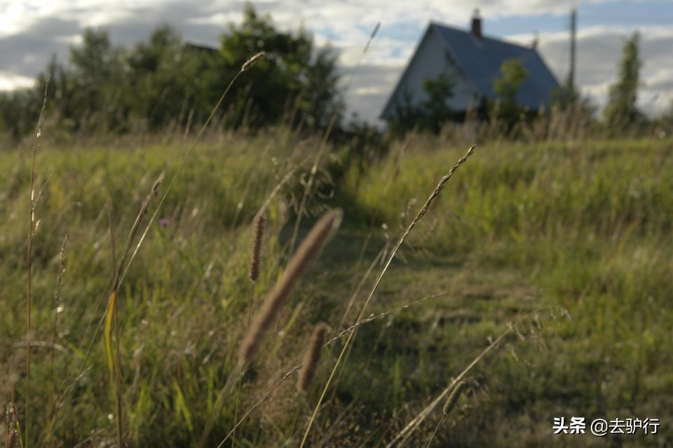 孤独的俄罗斯村庄：仅剩8个居民相依为命，自嘲自己是最后的居民