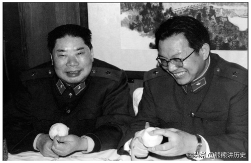 解放战场上，我军10位打仗厉害，战绩突出的将才，分别都是谁