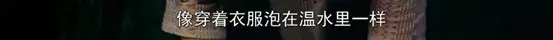 是谁来自山川湖海,八美《食女》却囿于昼夜,厨房与爱