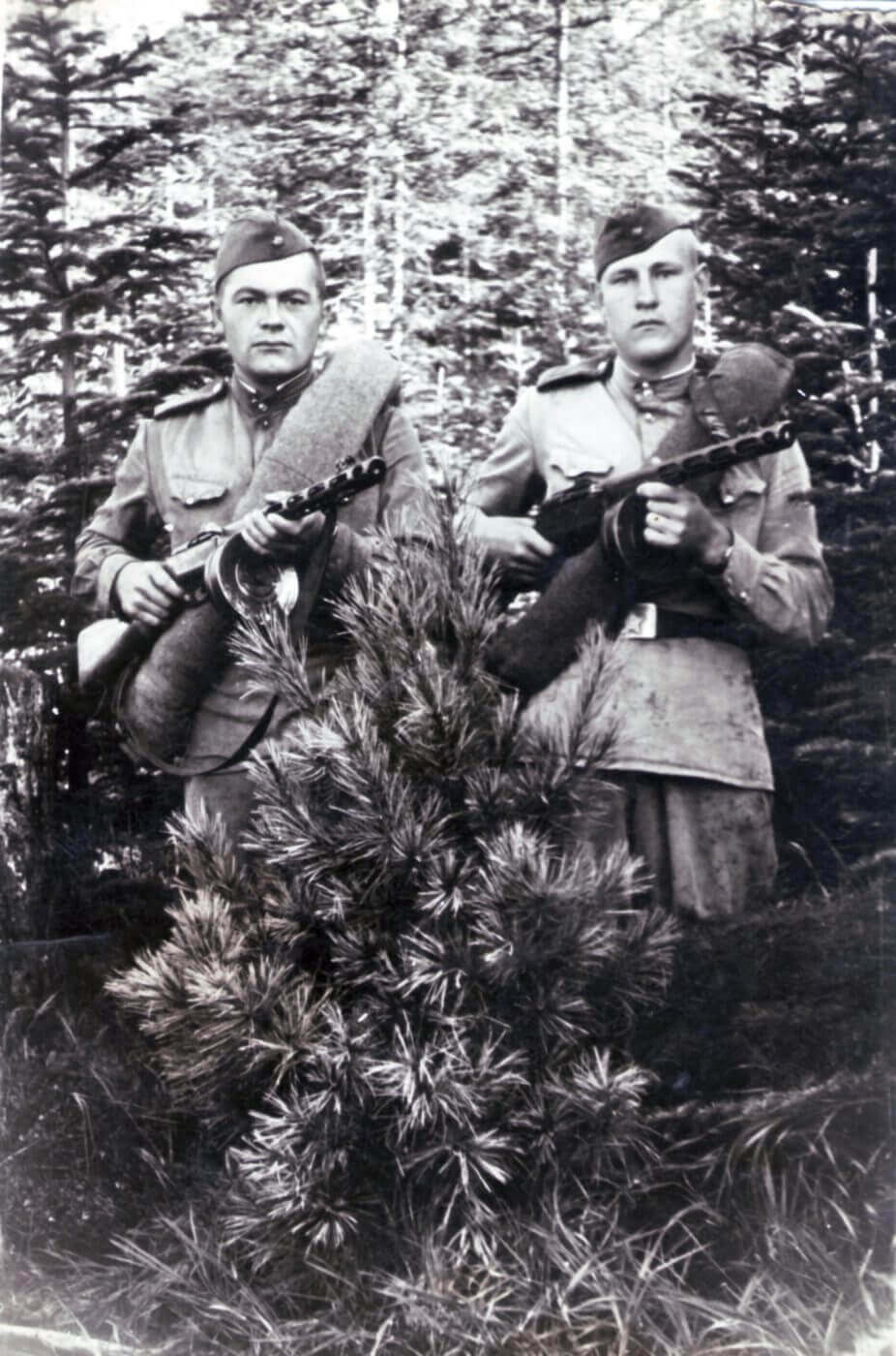 短命枪王：SKS和M14步枪，为预防第三次世界大战