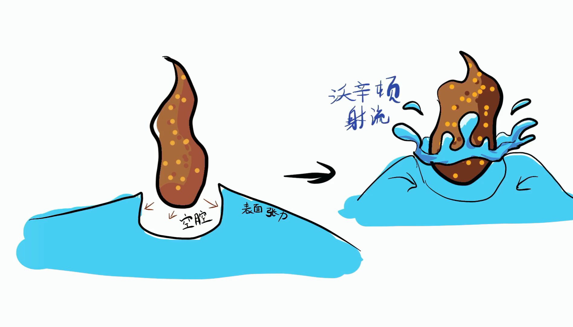 拉屎时如何优雅地压住水花？理论加实操的硬核科普