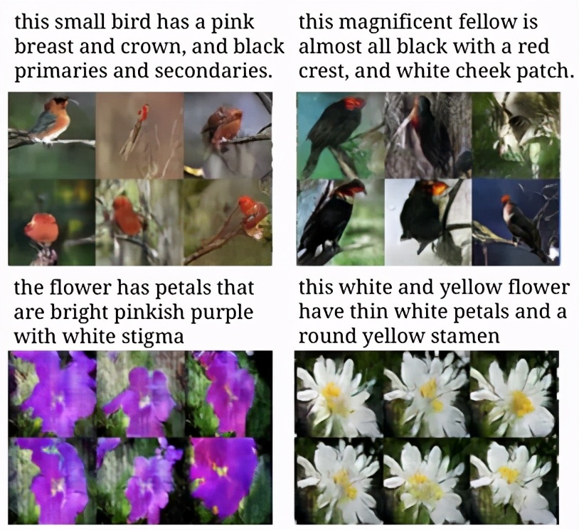 �˹�����ͼ�����ɼ������̶�5������η��ٷ�չ��