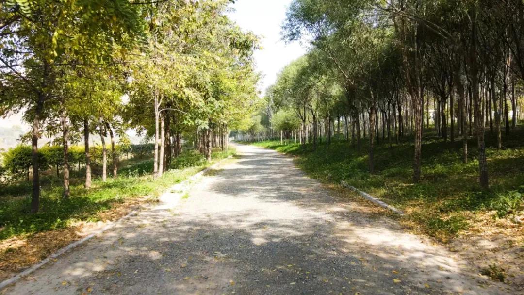 西固区谱写生态环境保护新篇章