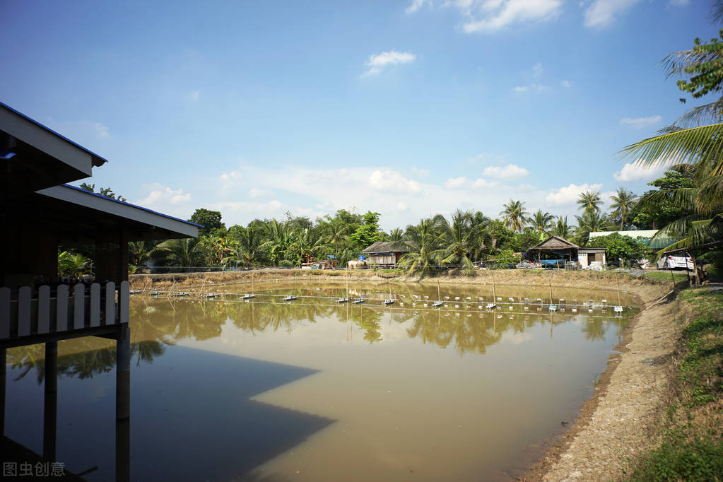 美麗的泡沫？內(nèi)地工廠化淡水南美白對蝦養(yǎng)殖三年后，我有話要說