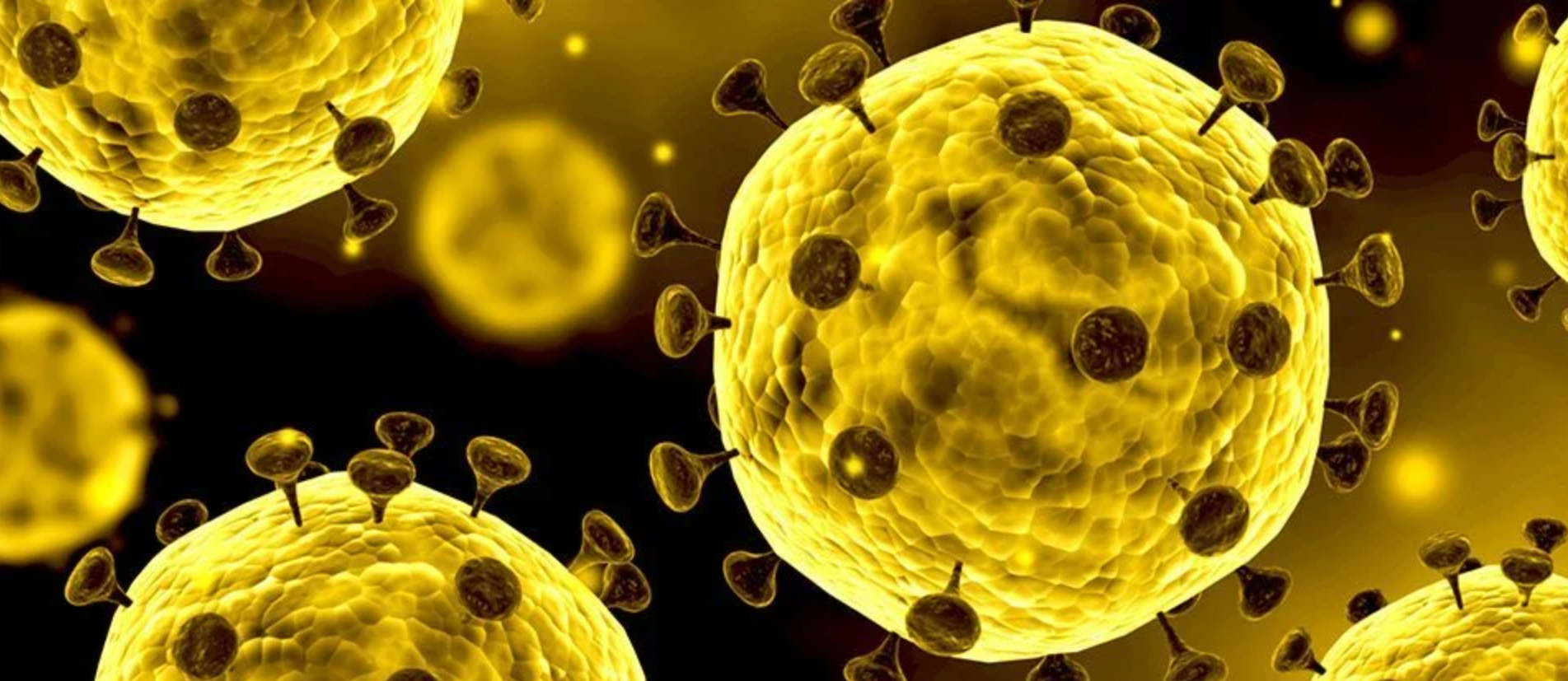 19世紀倫敦霍亂與新冠病毒爆發：反應何其相似，曆史重演