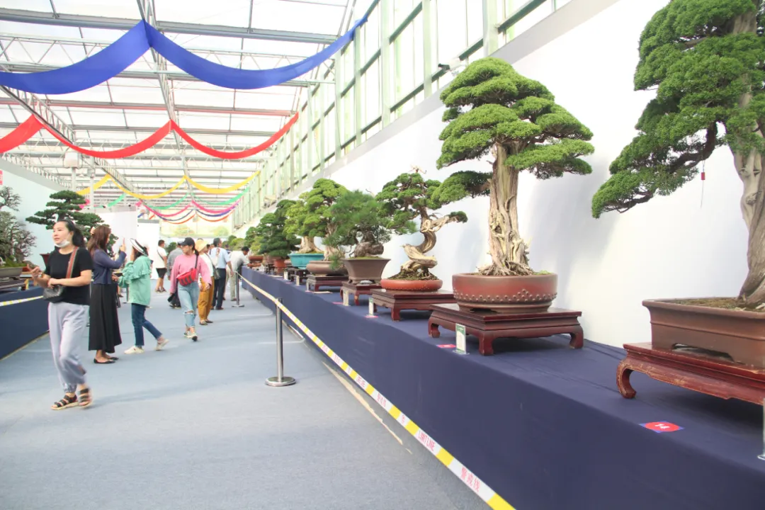 大饱眼福，第八届中国沭阳花木节竟如斯出色！你想看的全在这里…
