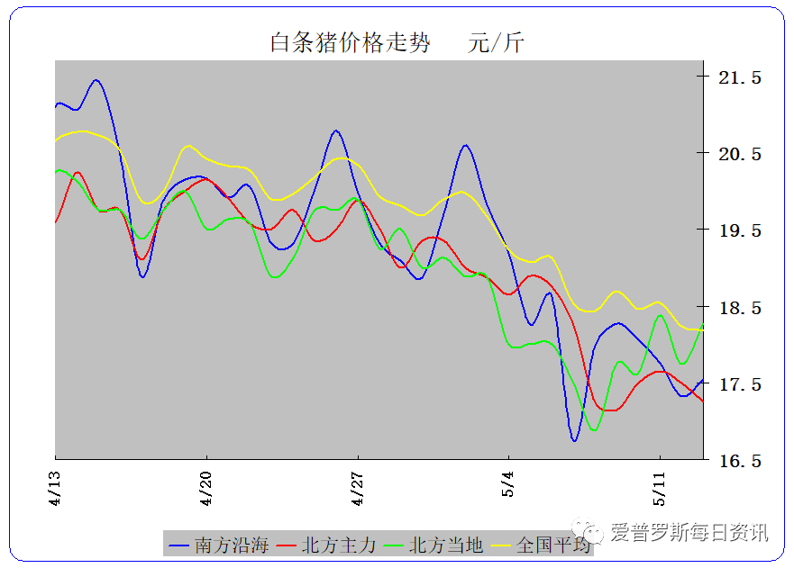 抛完牛猪，抛标猪，抛母猪，为什么呢？