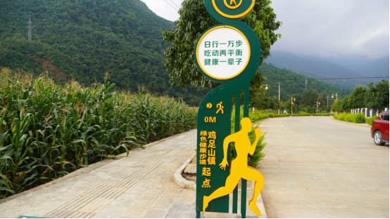 云南省宾川县：“小步道”走出“大健康”