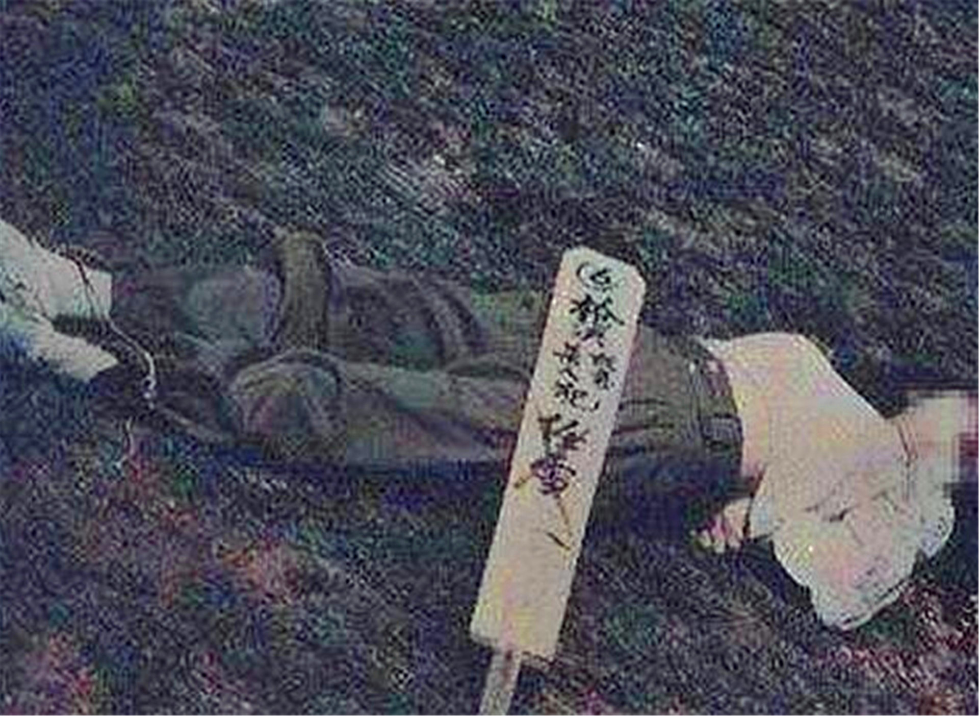 19岁少女被枪决前，突然主动张开嘴，众人疑惑，