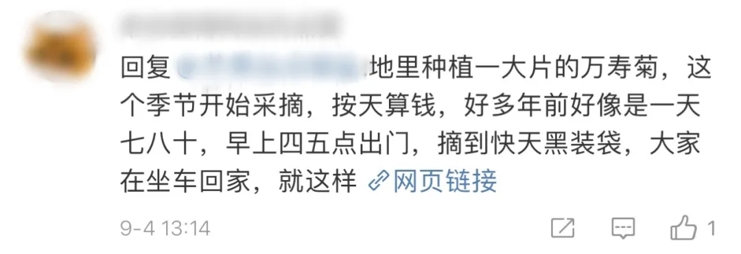 家属一句话揭开黑龙江车祸遇难者身份:这就是
