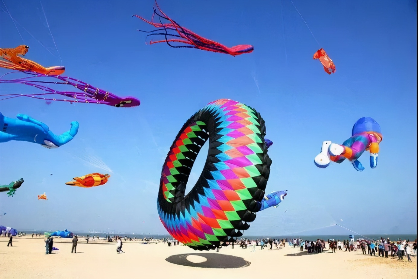 激动人心一年一度的观音山风筝狂欢盛宴本周末等你来