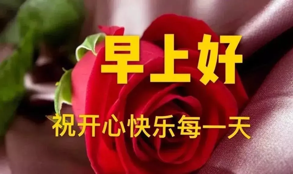 早上好问候语动态表情图文字,微信新的漂亮祝福语图片图片