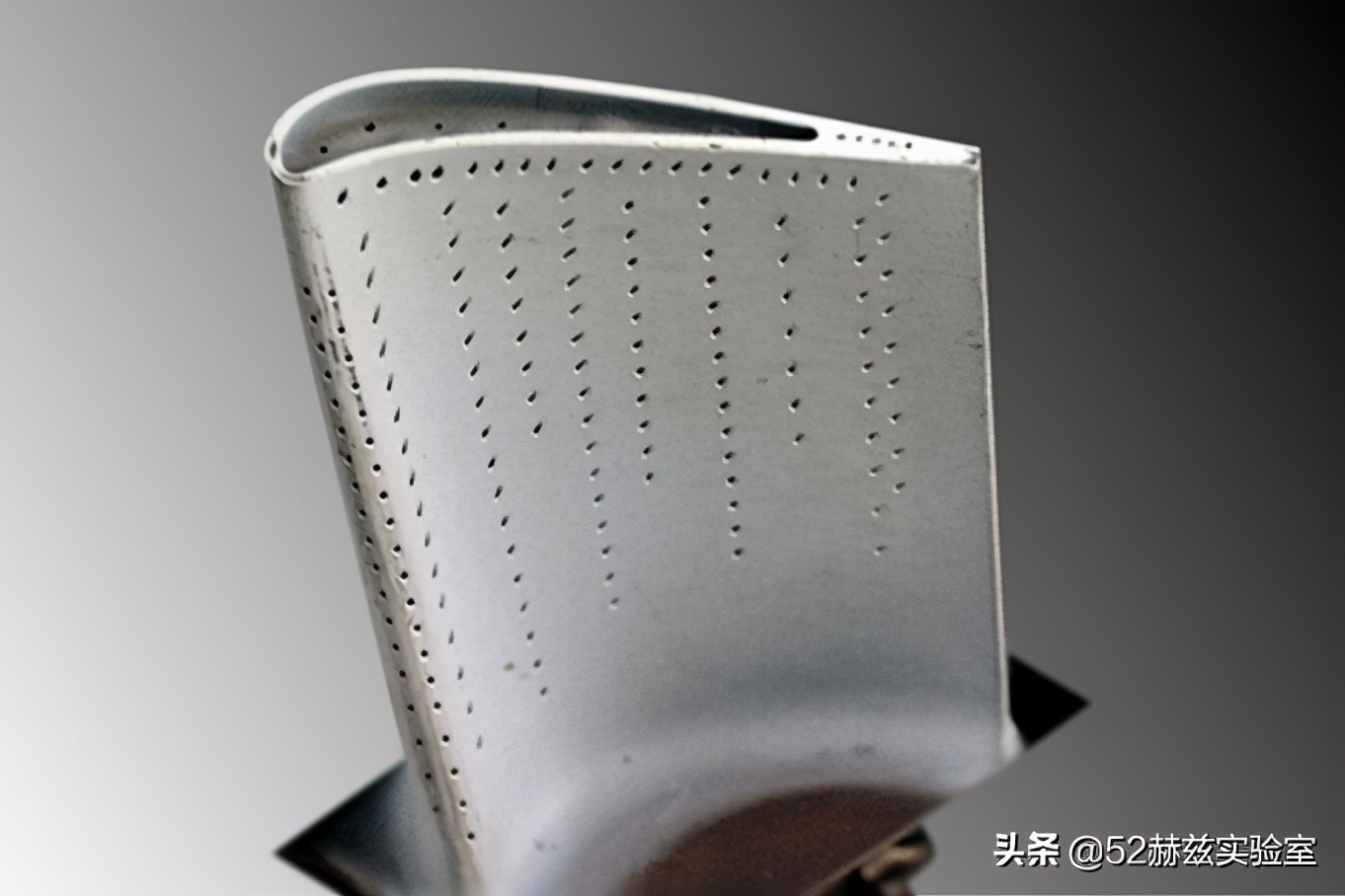 ���շ�����Ϊ�α��������¢�ϣ������ѵ������