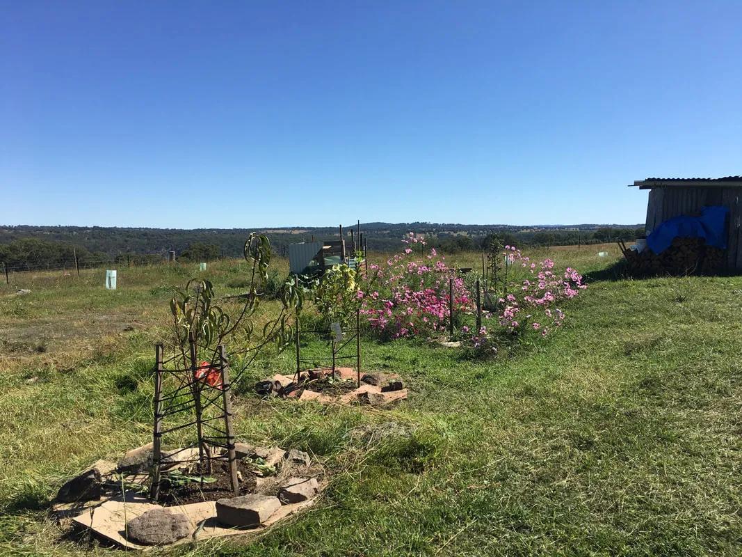 64岁老太不结婚，卖了豪宅住进8㎡蜗居，却过上