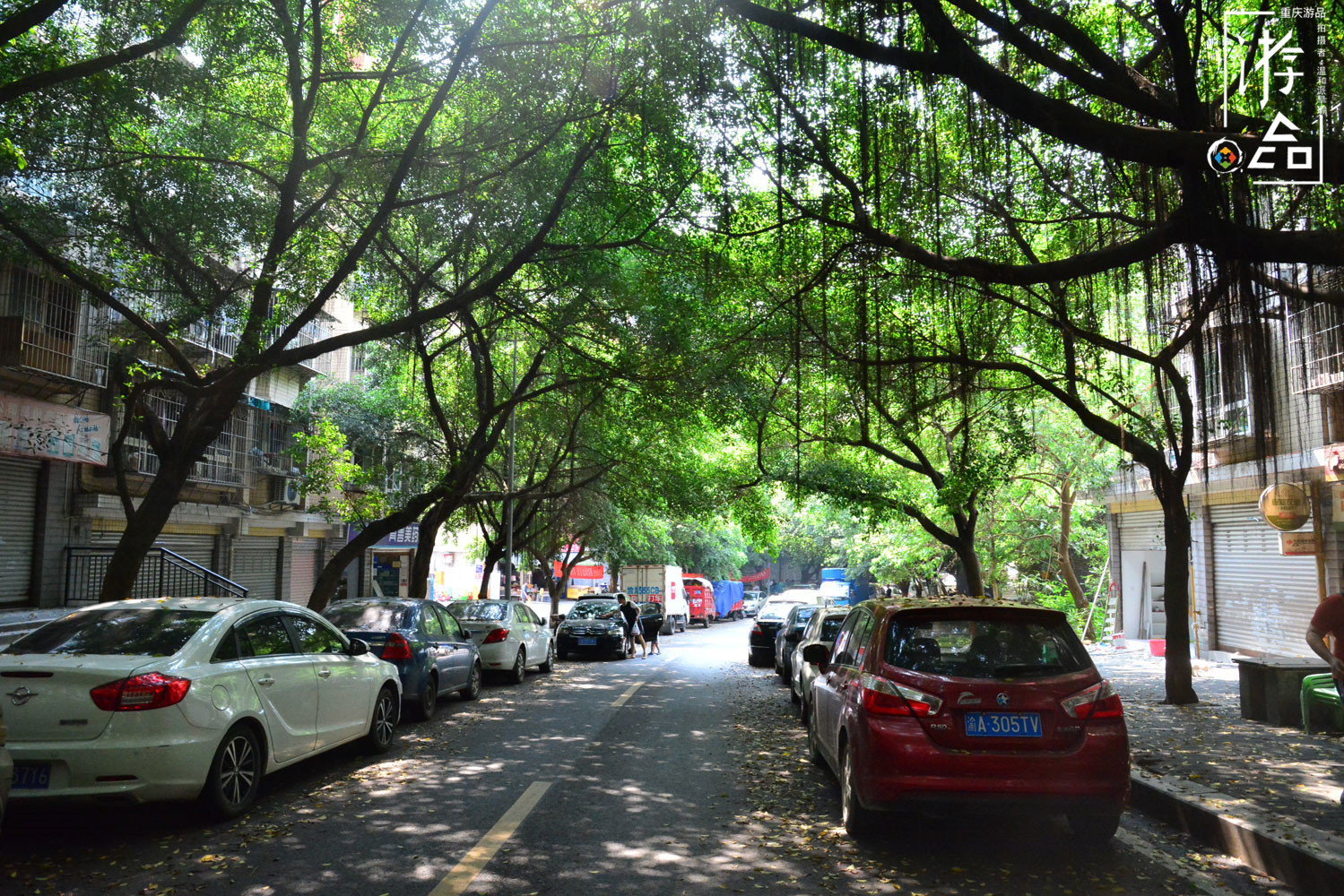 重庆主城最“低调”的轨道桥：高家花园大桥，连接沙坪坝与江北