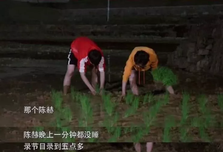 陈赫拯救了综艺大型尴尬现场