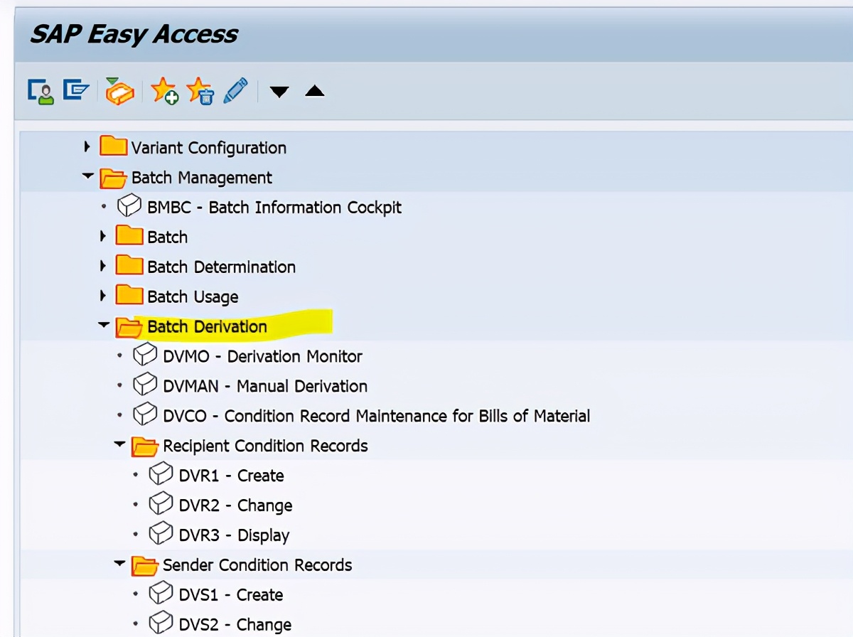 SAP Batch Derivation功能初探之一