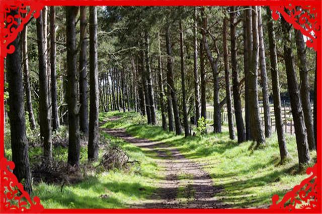 一个中年人，手里没有多少资金，在农村有什么