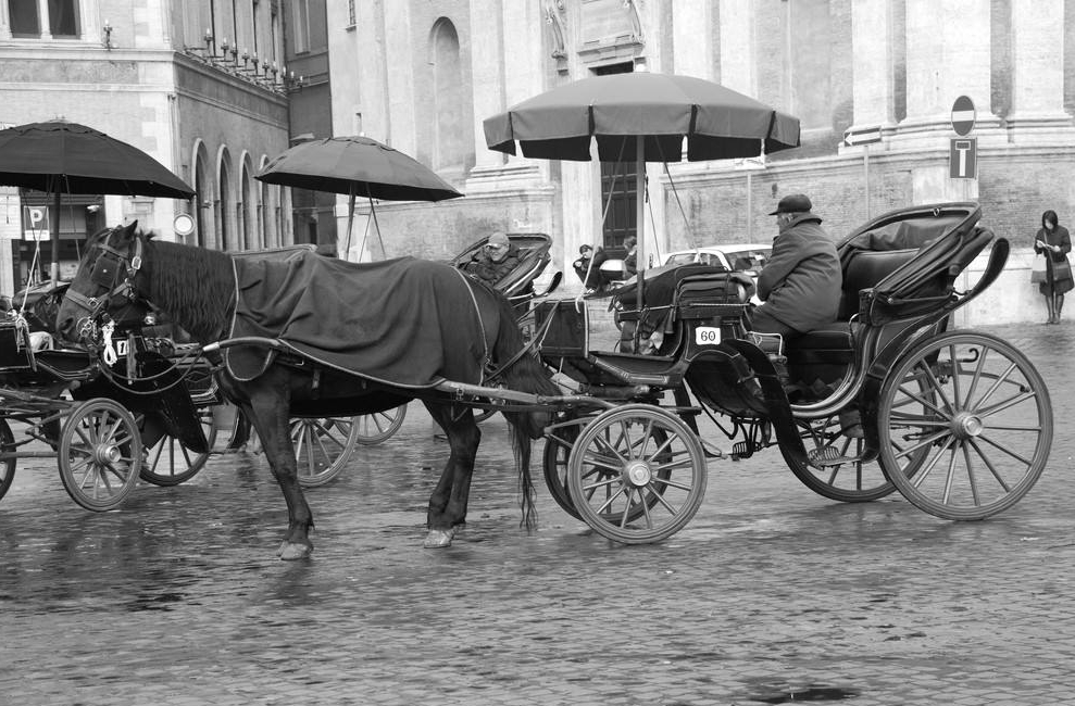 世界上是先有红绿灯还是先有汽车？你可能想错