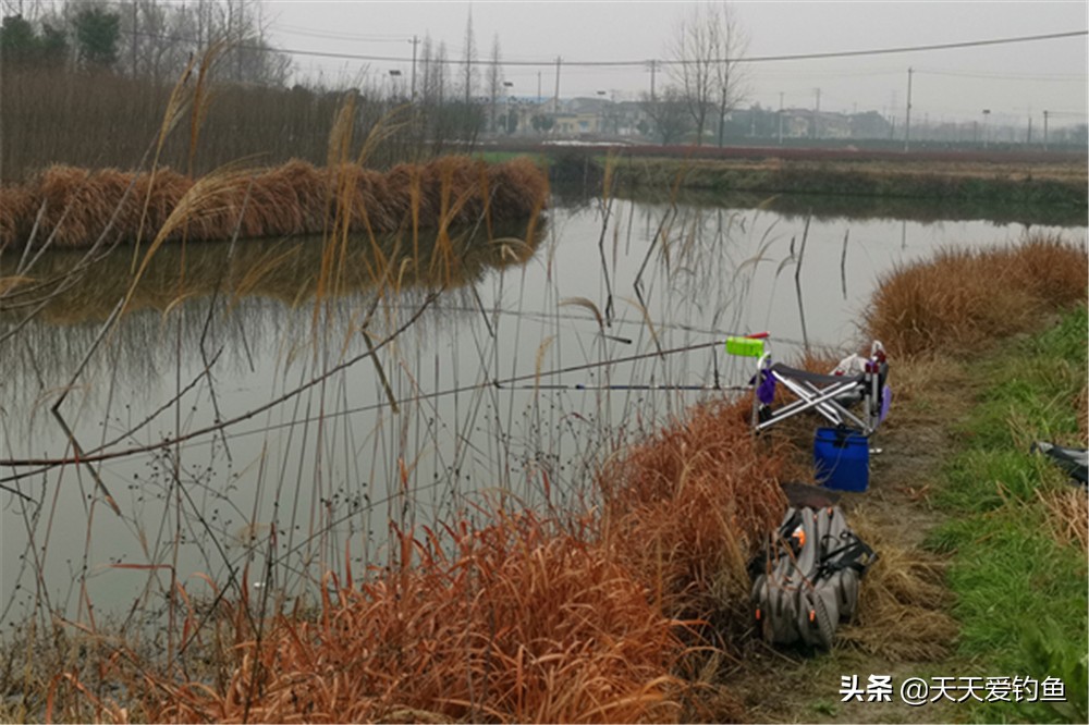 早春钓大鲫鱼的4要原则，早春不是鱼不好钓，是你不会钓