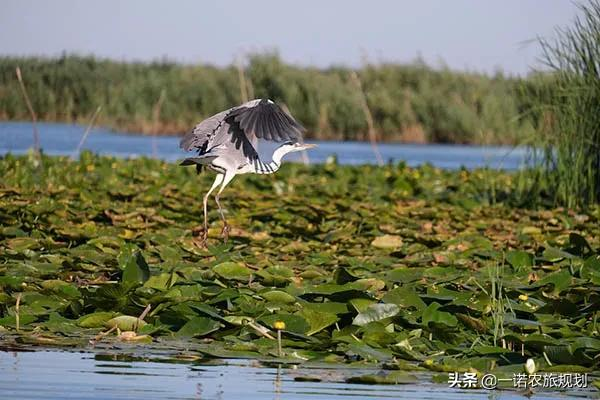 如何为文旅产业注入新动能？