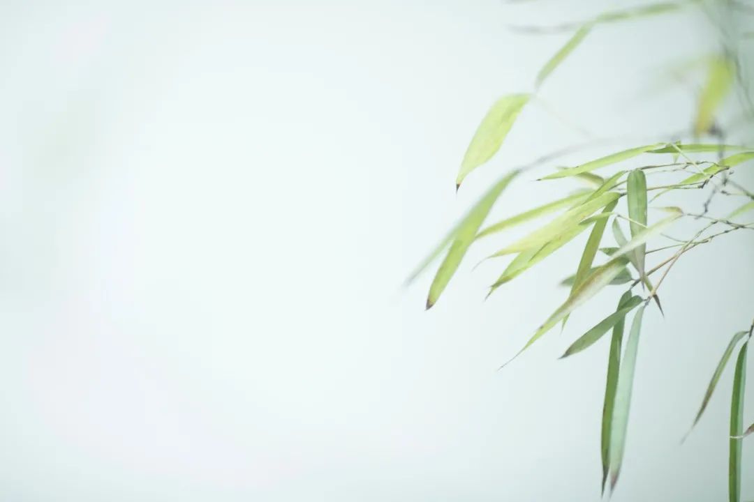 8首绝美古诗词，一眼沉醉，惊艳了千年的时光-第3张图片-非凡网