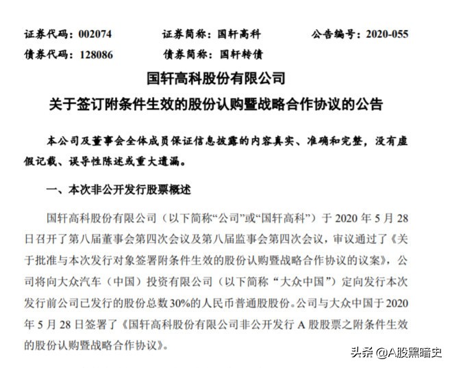 德国大众汽车成国轩高科第一大股东，国轩高科