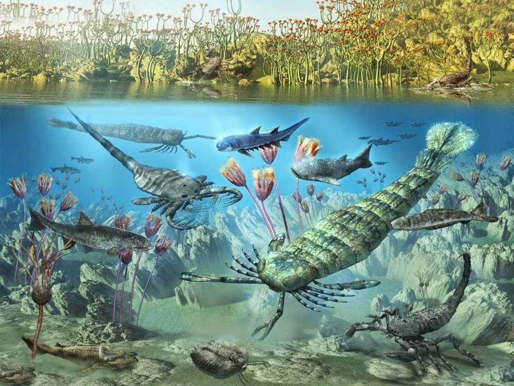 科学家：陆地动物或每2700万年大灭绝一次-第2张图片-IT新视野