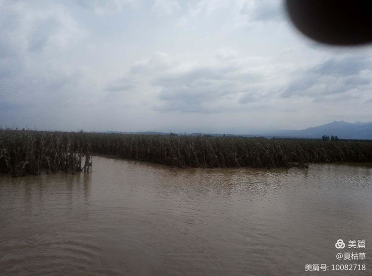 华阴公安郭彦伯：疾风骤雨显担当 防汛抢险保民安