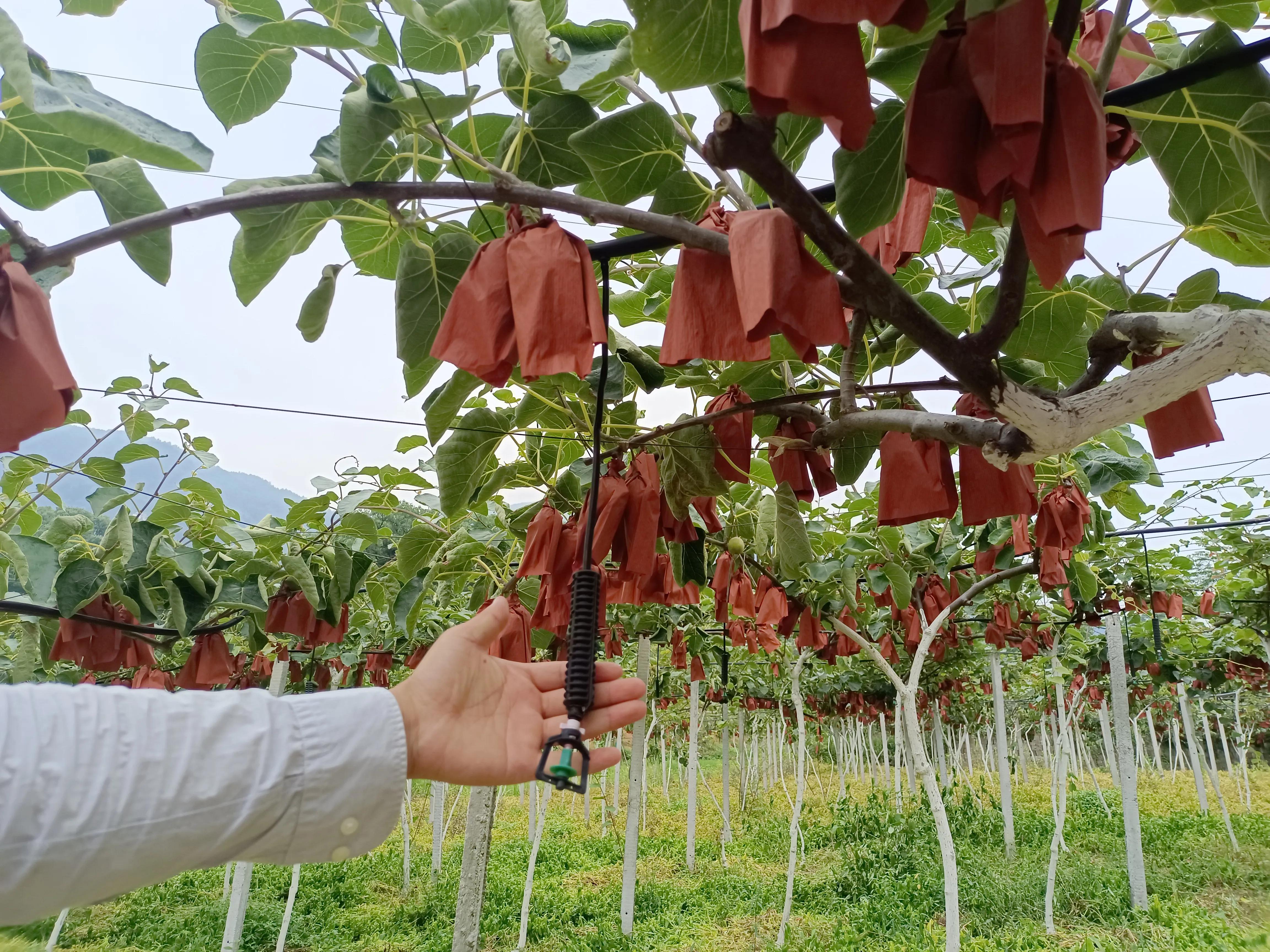 陕西学子三下乡：“青春领航 筑梦乡村”风采