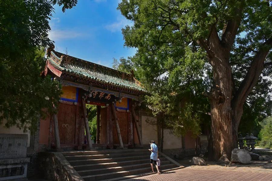 秦州區成功創建為省級全域旅游示范區，一起為美麗家鄉點贊