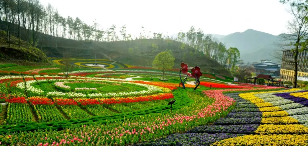 湖北賞花地圖超大規模的鬱金香花海櫻花海棠百合等你來賞