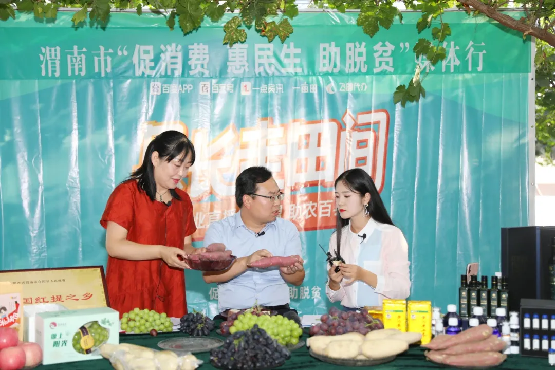 “促消費(fèi) 惠民生 助脫貧”采訪團(tuán)走進(jìn)合陽(yáng)縣