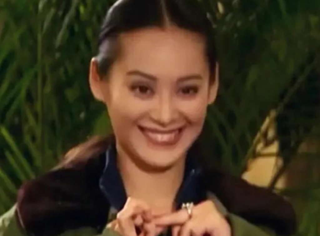 当女星活动现场冻的发抖的时候，宁静早已披上