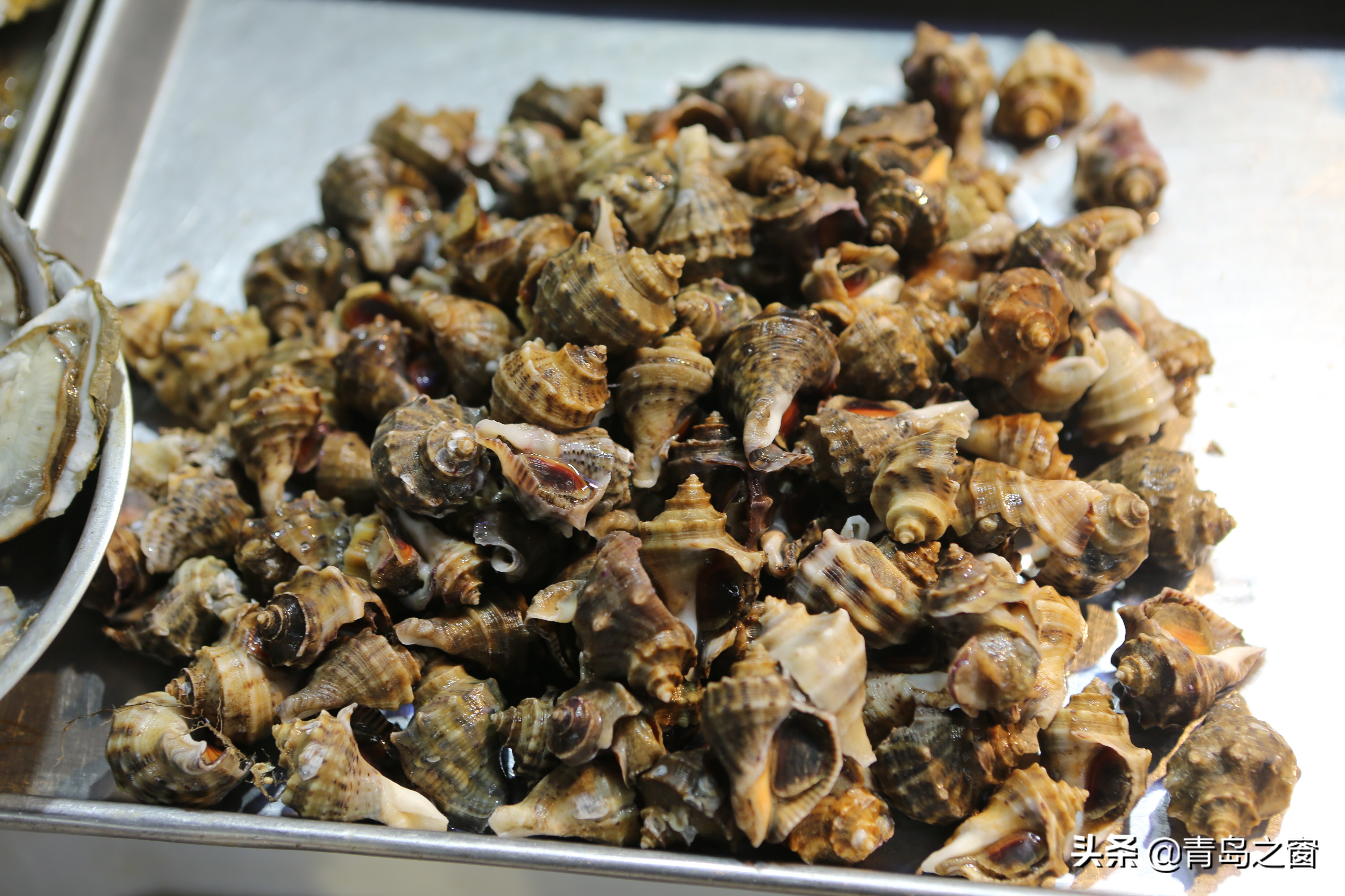 海鲜摊位上的海螺大全 很多都没见过 更叫不上这些螺的名字