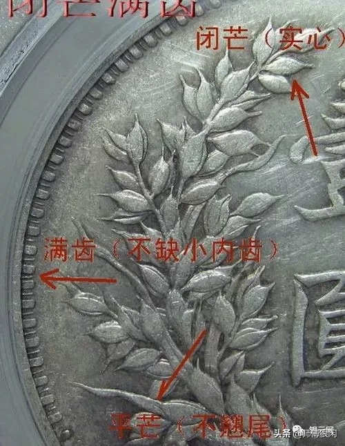 三年小嘉禾版又称三年九背