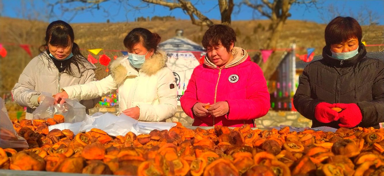 河北玉田丨自选柿饼节在围子山庄开幕