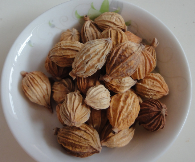 經常胃脹不消化？ 不妨試試用它煲湯做菜，緩解胃不適