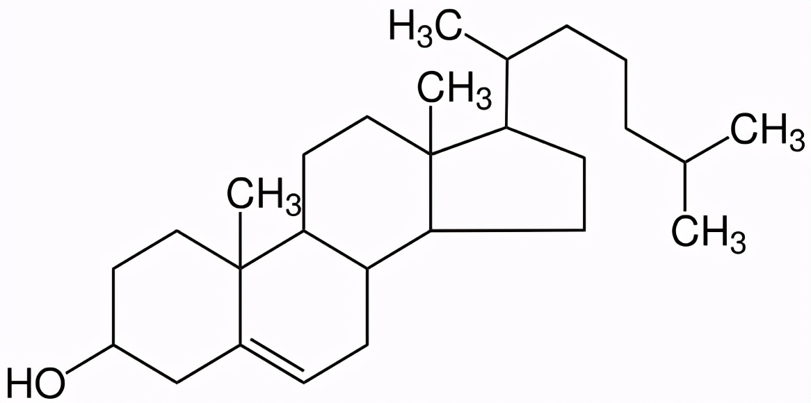 “研究稱每天吃兩個雞蛋會增加早亡風(fēng)險”？究竟是真是假