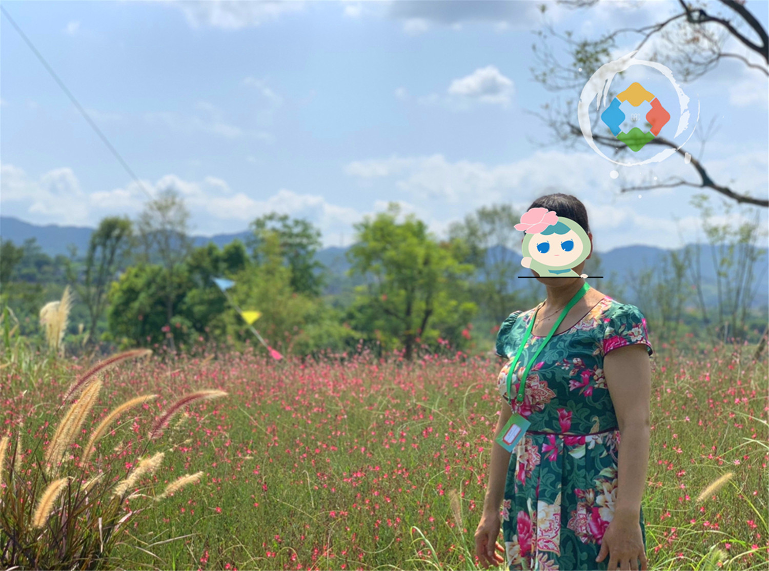 重庆广阳岛游玩攻略：一天逛完4大景点，美不胜收，拍照超好看