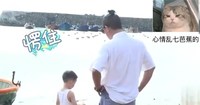 應采兒曬大兒子彈鋼琴，陳小春闖入後畫風突變，父愛如山體滑坡