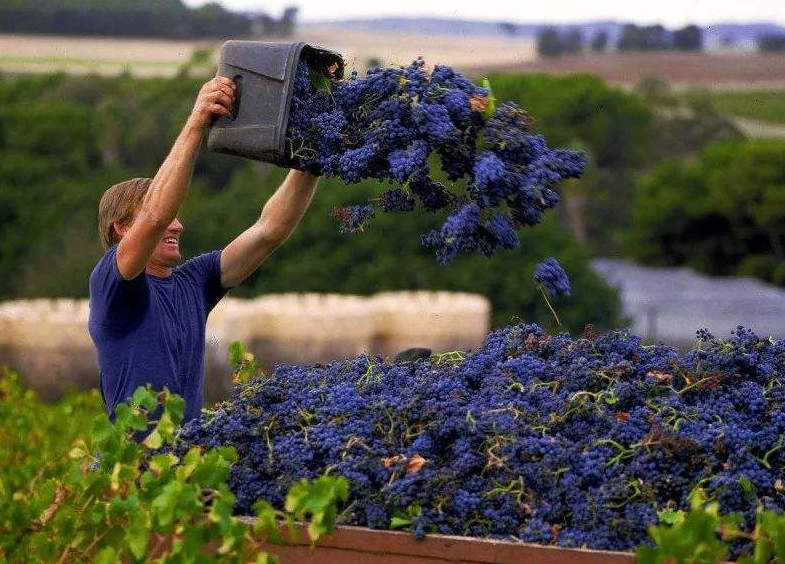 是誰為澳大利亞撐腰？ 離了中國，為何澳經濟反而突然逆轉復甦了？