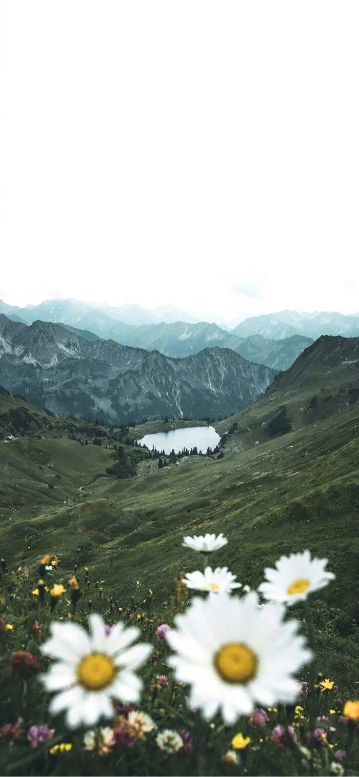 说说|很棒的朋友圈晚安说说句子,温柔阳光句句获赞