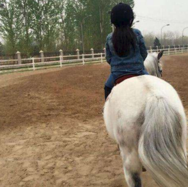 11岁王诗龄近照太美！挑染灰发气质成熟，戴定制款手链豪宅内玩狗