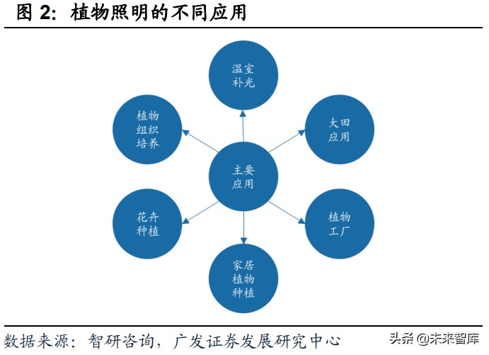 植物照明产业研究：促进高效种植，行业前景广阔