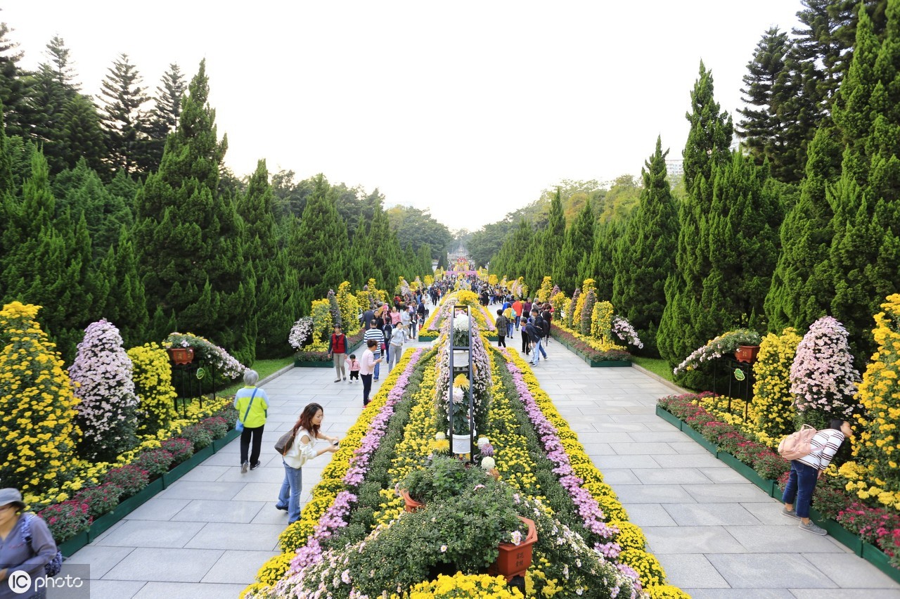 广州黄花岗公园（黄花岗公园是广州重要的景点，当这里鲜花盛开时，风景优美）