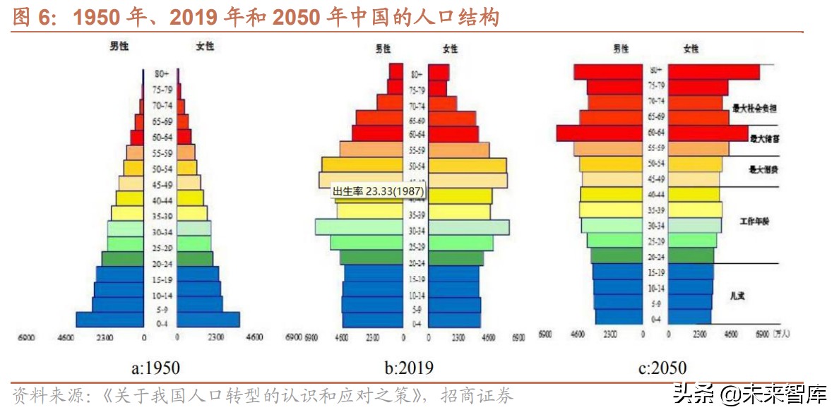 人口转型与新消费专题研究：人口结构转型背景下利好哪些领域